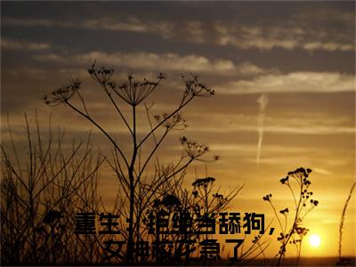 江澈苏蓉音全文免费阅读无弹窗，重生：拒绝当舔狗，女神校花急了小说最新章节列表无删减_笔趣阁