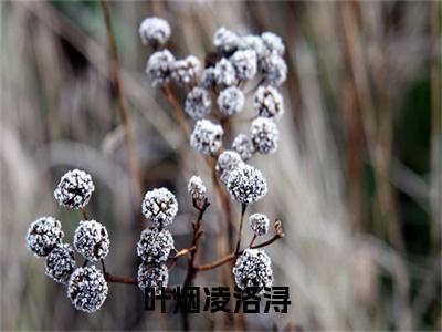 叶烟凌洛浔(叶烟凌洛浔)全文免费阅读无弹窗大结局_(叶烟凌洛浔在线阅读)叶烟凌洛浔最新章节列表笔趣阁（叶烟凌洛浔）