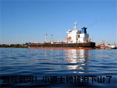 （道观倒闭！小道士她被迫下山了后续+免费）简兮贺卿尘小说大结局-精彩美文道观倒闭！小道士她被迫下山了免费阅读