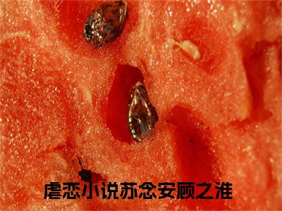 苏念安顾之淮小说（苏念安顾之淮）免费观看-苏念安顾之淮高质量小说推荐阅读