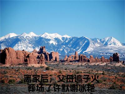 离家后，父母追子火葬场了（许默谢冰艳）全文免费阅读无弹窗大结局_离家后，父母追子火葬场了最新章节列表_笔趣阁