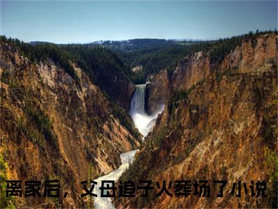 离家后，父母追子火葬场了全文免费阅读大结局-许默谢冰艳最新章节列表笔趣阁