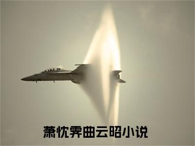 （萧忱霁曲云昭）是什么小说-（萧忱霁曲云昭）无弹窗免费阅读大结局最新章节列表_笔趣阁