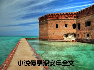 负你一世情深（傅擎深安年小说）全文免费阅读无弹窗大结局_负你一世情深全文免费阅读_笔趣阁