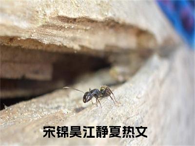 宋锦昊江静夏（宋锦昊江静夏）全文免费阅读无弹窗大结局_宋锦昊江静夏热门小说最新章节阅读