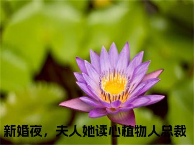 新婚夜，夫人她读心植物人总裁小说热门榜单免费阅读，楚辞忧霍庭琛抖音新上热文分享_笔趣阁（新婚夜，夫人她读心植物人总裁）