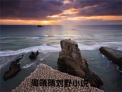周晴晴刘野的小说全文免费阅读无弹窗大结局-《周晴晴刘野》完整章节阅读