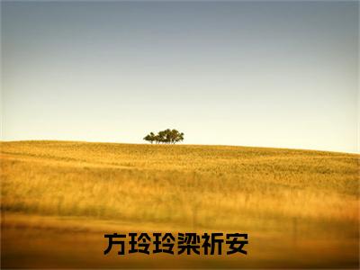 方玲玲梁祈安（她梦寐以求的婚姻，从一开始就是假的）全文免费阅读无弹窗大结局_她梦寐以求的婚姻，从一开始就是假的免费最新章节列表_笔趣阁