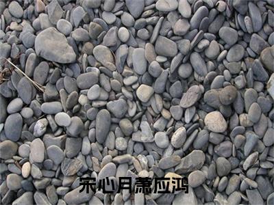 宋心月萧应鸿（宋心月萧应鸿）经典小说全文免费阅读无弹窗_（宋心月萧应鸿）小说全文免费阅读最新章节_笔趣阁