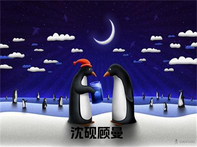 沈砚顾曼（沈砚顾曼）小说大结局-小说（沈砚顾曼）免费阅读沈砚顾曼