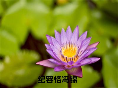 纪容恪冯锦：纪容恪冯锦阅读无弹窗大结局_（纪容恪冯锦阅读无弹窗）最新章节列表_笔趣阁（纪容恪冯锦）