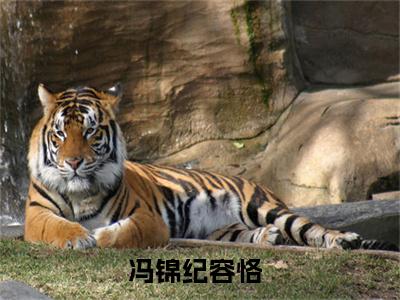 (番外)+(全文)冯锦纪容恪全文+番外小说免费下载阅读冯锦纪容恪全文+番外小说最新章节列表_笔趣阁（冯锦纪容恪全文+番外）