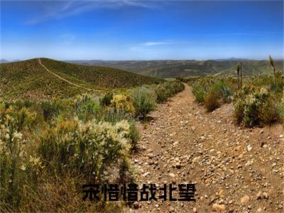 宋惜惜战北望免费版最新更新阅读-重披铠甲，将军夫人她英姿飒爽小说全文在线阅读