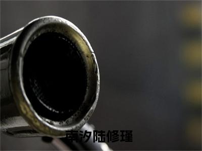 南汐陆修瑾的小说（南汐陆修瑾）免费阅读_南汐陆修瑾小说免费阅读-笔趣阁