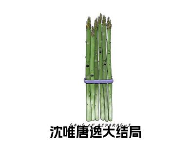 沈唯唐逸无弹窗（沈唯唐逸）全文免费阅读无弹窗大结局_(沈唯唐逸)沈唯唐逸最新章节列表_笔趣阁（沈唯唐逸）