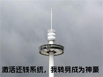 激活还钱系统，我转身成为神豪（钱文星李海洋全文免费阅读）_激活还钱系统，我转身成为神豪小说最新章节免费阅读
