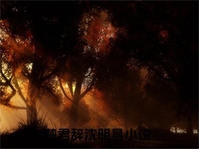 (热推新书)楚君辞沈明昙全文免费阅读无弹窗大结局-热推楚君辞沈明昙无弹窗阅读楚君辞沈明昙在线阅读