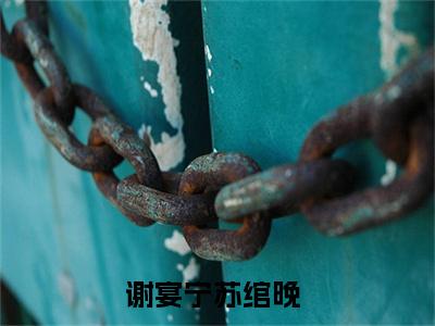 谢宴宁苏绾晚（丫头别逃了教授他超爱）全文免费阅读无弹窗大结局_丫头别逃了教授他超爱小说在线阅读无删减
