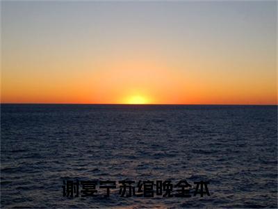 丫头别逃了教授他超爱（谢宴宁苏绾晚）全文小说-丫头别逃了教授他超爱小说最新章节免费阅读