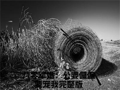 （八零军婚：公婆偏偏要宠我）郁如烟董战歌小说推荐阅读-主角为郁如烟董战歌的小说叫什么八零军婚：公婆偏偏要宠我