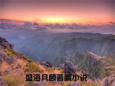 盛海月顾晋鹏（盛海月顾晋鹏）小说在线阅读_盛海月顾晋鹏全本免费小说阅读（盛海月顾晋鹏）