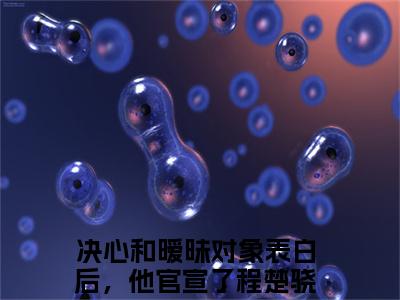 （程楚骁沈知念）全文免费阅读无弹窗大结局-决心和暧昧对象表白后，他官宣了小说最新章节列表