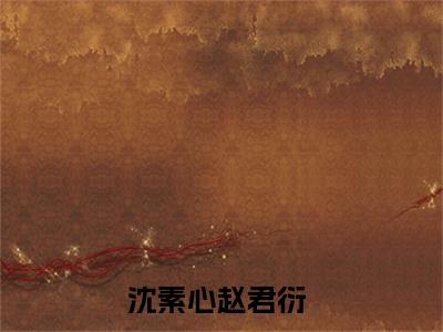 重生后被太子宠上天（沈素心赵君衍）全文免费阅读_（沈素心赵君衍）重生后被太子宠上天最新章节小说免费阅读_笔趣阁