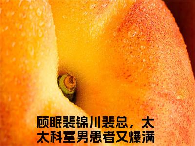 主角为顾眠裴锦川的小说-裴总，太太科室男患者又爆满了（顾眠裴锦川）全文完整版阅读