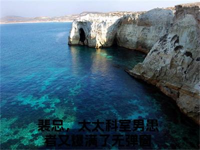 裴总，太太科室男患者又爆满了（顾眠裴锦川）最新免费阅读-裴总，太太科室男患者又爆满了小说在线阅读