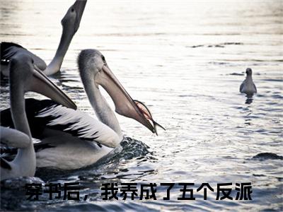 穿书后，我养成了五个反派（乔连连顾城）抖音热推小说全集无删减_（乔连连顾城免费阅读全文大结局）最新章节列表_笔趣阁