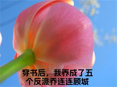 主角是乔连连顾城的小说全文免费阅读无弹窗大结局-《穿书后，我养成了五个反派》完整章节阅读