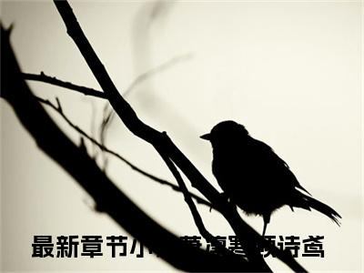 萧凛寒顾诗鸢小说免费阅读-精选好书萧凛寒顾诗鸢