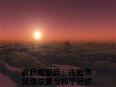 【新书】解除婚姻后，未婚妻哭着求复合全文全章节免费阅读-赵凛柳如烟小说免费阅读无弹窗最新章节列表
