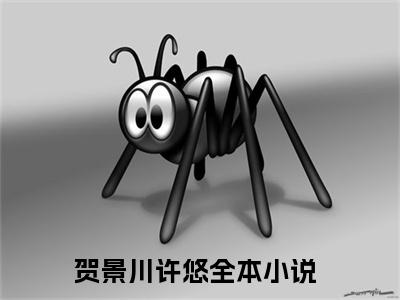 贺景川许悠（贺景川许悠）小说完整版阅读-贺景川许悠小说全文免费阅读