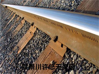 贺景川许悠全文免费阅读-全网首发小说贺景川许悠