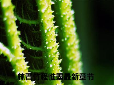 林青竹程惟墨小说最新章节-林青竹程惟墨在线阅读