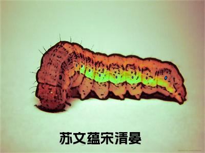 苏文蕴宋清晏在线阅读（苏文蕴宋清晏）全文免费阅读无弹窗大结局_苏文蕴宋清晏精选免费小说