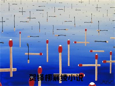 【新书】贺铎柳襄绫全文全章节免费阅读-贺铎柳襄绫 全文免费阅读无弹窗大结局