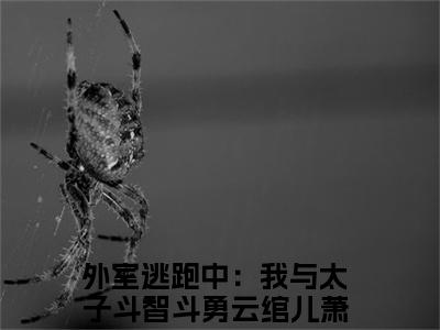 外室逃跑中：我与太子斗智斗勇（外室逃跑中：我与太子斗智斗勇）是什么小说-（云绾儿萧宴之）无弹窗免费阅读大结局最新章节列表_笔趣阁