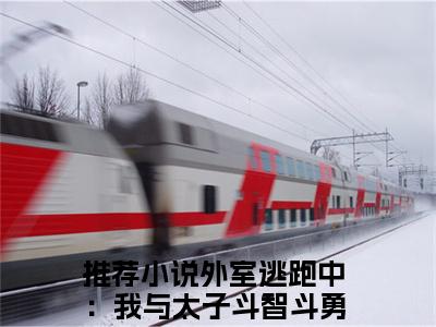 外室逃跑中：我与太子斗智斗勇（云绾儿萧宴之）全文免费阅读_云绾儿萧宴之正版小说全文阅读