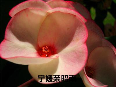 宁媛荣昭南小说全文免费阅读无弹窗大结局_宁媛荣昭南小知青太彪悍，京院荣少他超爱最新章节列表_笔趣阁（宁媛荣昭南）