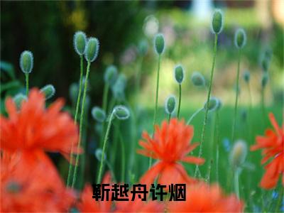 靳越舟许烟超受欢迎小说-靳越舟许烟全文在线赏析