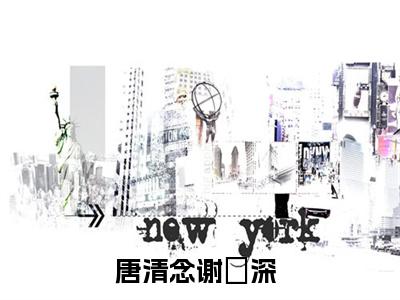 唐清念谢璟深（唐清念谢璟深）全文免费阅读无弹窗大结局_(唐清念谢璟深小说免费阅读)_笔趣阁