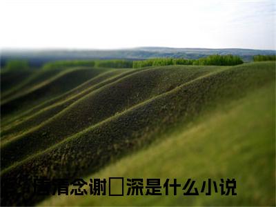 唐清念谢璟深小说大结局免费阅读-完结版唐清念谢璟深小说免费阅读