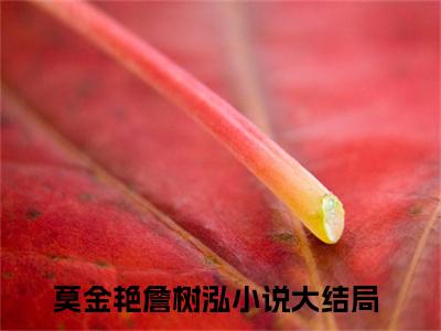 营长，能不能给我一个机会（莫金艳詹树泓）最新小说全文阅读-热点小说营长，能不能给我一个机会（莫金艳詹树泓）最新章节免费阅读