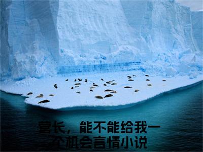 莫金艳詹树泓无弹窗（营长，能不能给我一个机会）全文免费阅读无弹窗大结局_营长，能不能给我一个机会最新章节列表（营长，能不能给我一个机会）