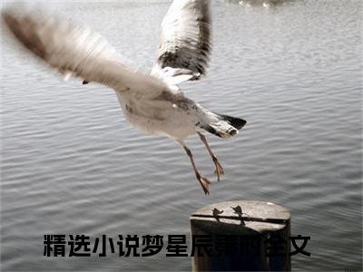 梦星辰秦时小说（梦星辰秦时）全文免费阅读_梦星辰秦时小说精彩在线赏析