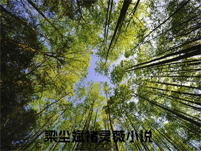 梁尘斌褚灵薇全文免费阅读_（梁尘斌褚灵薇免费阅读无弹窗）梁尘斌褚灵薇最新章节列表