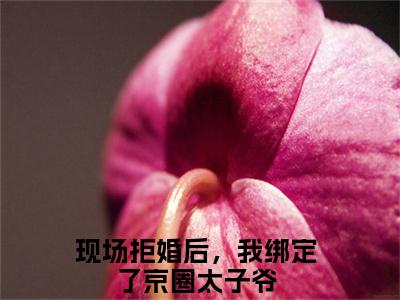 现场拒婚后，我绑定了京圈太子爷免费小说（楚弘逸宋希）全文无弹窗阅读现场拒婚后，我绑定了京圈太子爷大结局免费阅读无弹窗