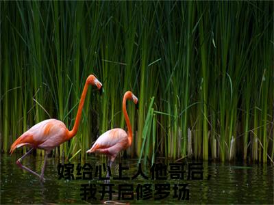 方锦宁谢韫（嫁给心上人他哥后，我开启修罗场）小说全文免费阅读正版无弹窗_（嫁给心上人他哥后，我开启修罗场）免费阅读无弹窗最新章节列表